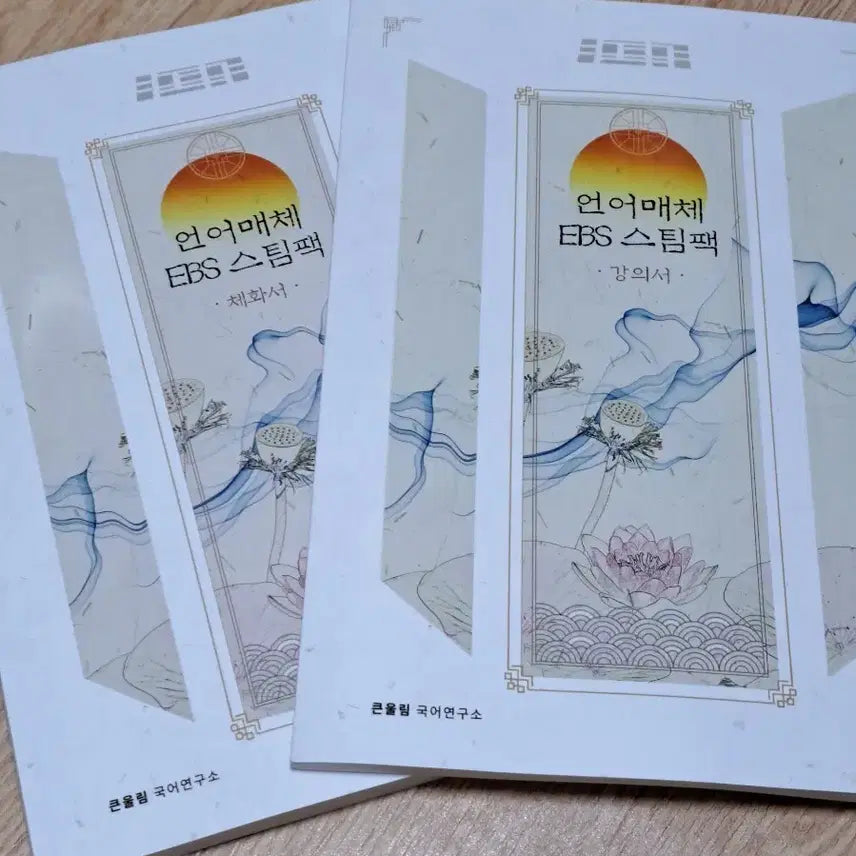[BUNJANG] Yudaejong EBS Steam Pack Lecture Book + Chehwa Book / 유대종 언어매체 EBS 스팀팩 강의서 + 체화서
