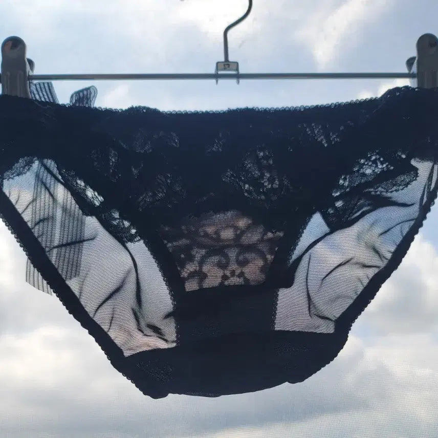 [BUNJANG] Sheer Lace Panties / (중고)시스루 레이스 팬티