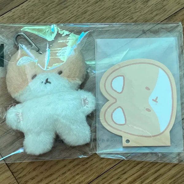 [BUNJANG] EXO Baekhyun "Teoraegi" Keychain & Photocard Bundle Set / 백현 터래기 키링 및 포카 일괄 판매합니다.
