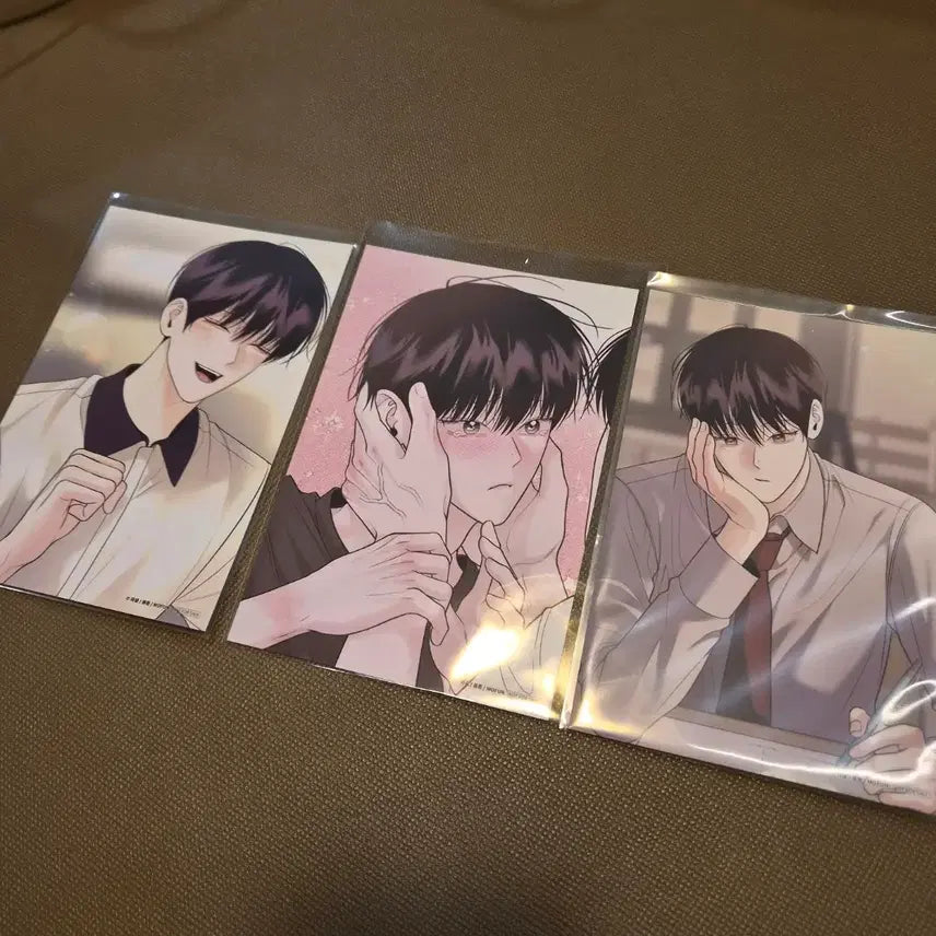 [BUNJANG] Monday Savior Bundle Set Postcard / 일괄)월요일의 구원자 월구 특전 엽서 판매