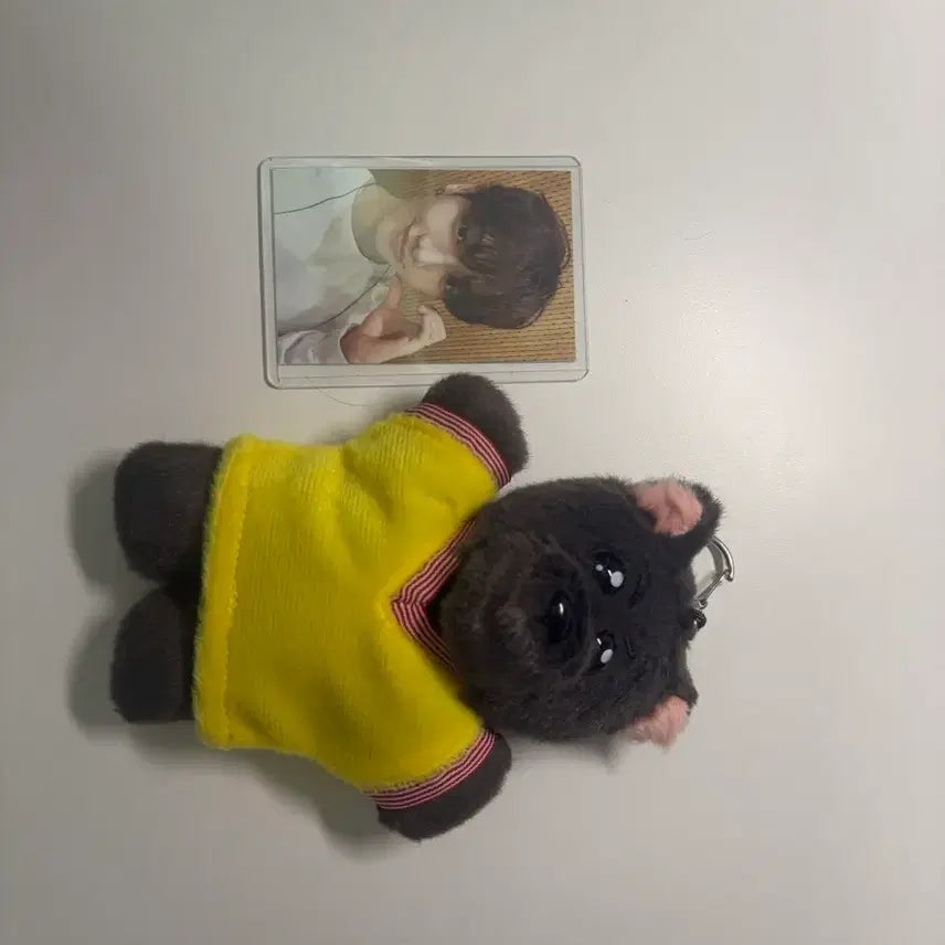 [BUNJANG] BOYNEXTDOOR 1st Generation Membership Photocard / 보이넥스트도어 보넥도 쁘넥도 외출 0번 명명이 1기