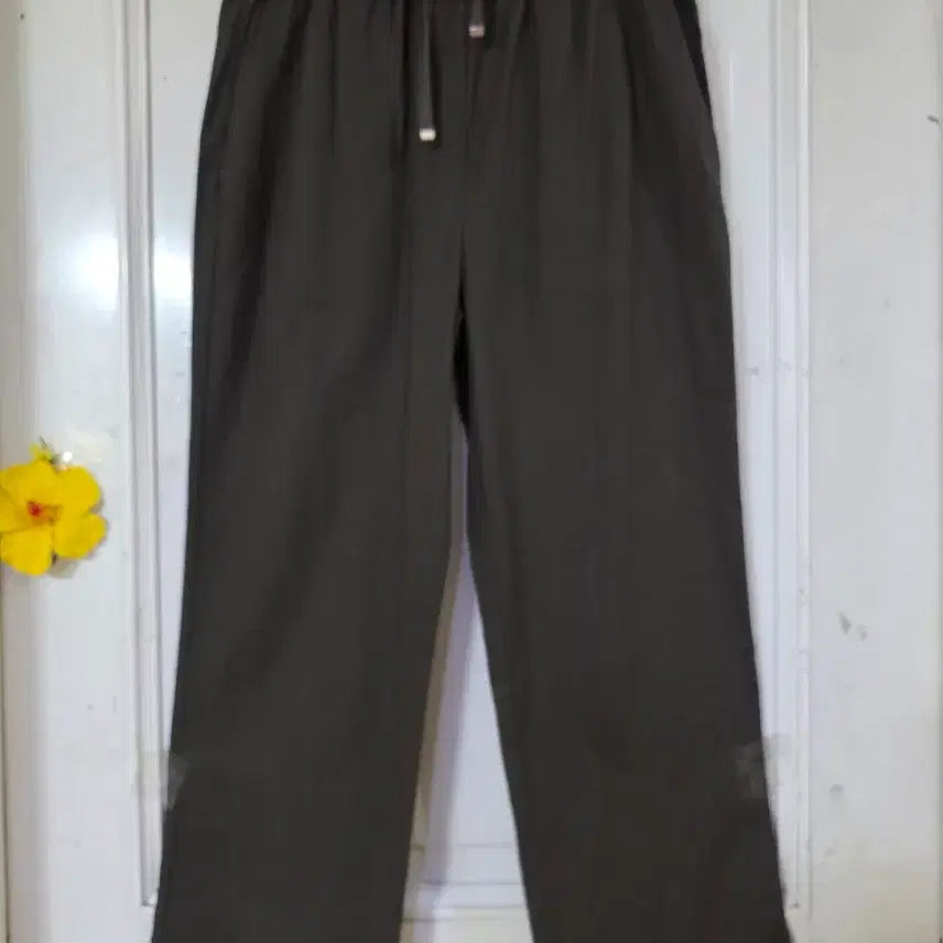 [BUNJANG] Spandex Banding Straight Leg Trousers / 여름 초가을  고급스러운 핏이이쁜  스판 밴딩  일자통바지   새상품