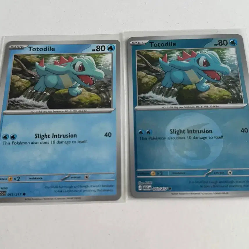 [BUNJANG] Pokemon Card Typhlosion Normal + Holo (North American Version) Bundle Set / 포켓몬카드 리아코 일반+홀로 (북미판)