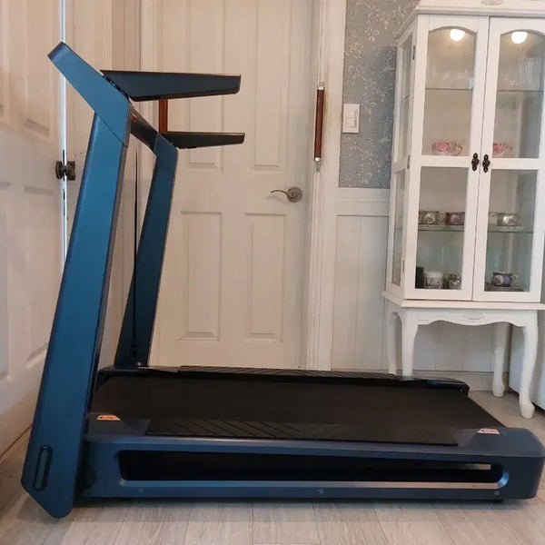 [BUNJANG] Xiaomi WalkingPad Treadmill / 새거팔아요~샤오미 런닝머신 워킹패드 워킹머신 저렴하게 팝니다.