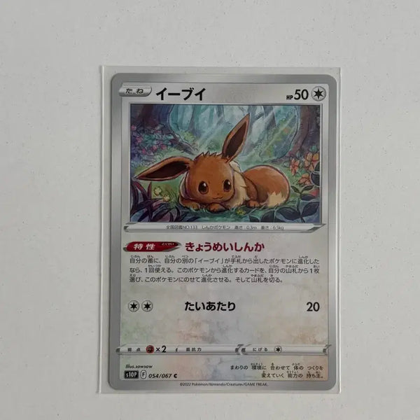 [BUNJANG] Pokemon Card Eevee (Japanese) / 포켓몬카드 이브이 (일판)