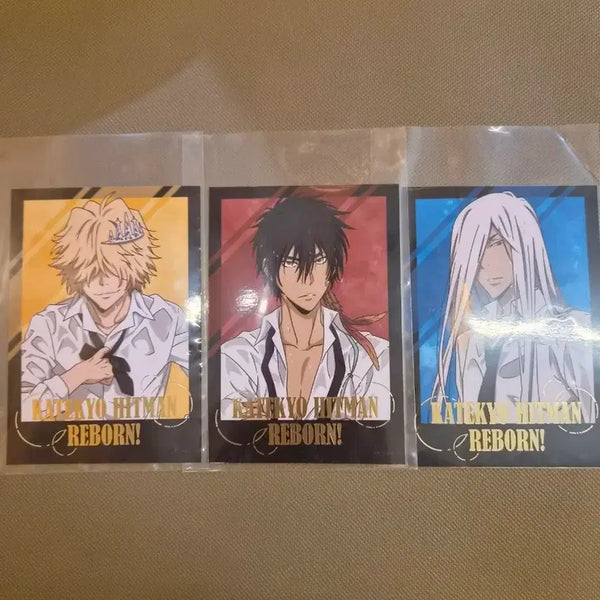 [BUNJANG] Katekyo Hitman Reborn! Bromide & Postcard Bundle Set / 일괄)가정교사히트맨리본 가히리 브로마이드 엽서