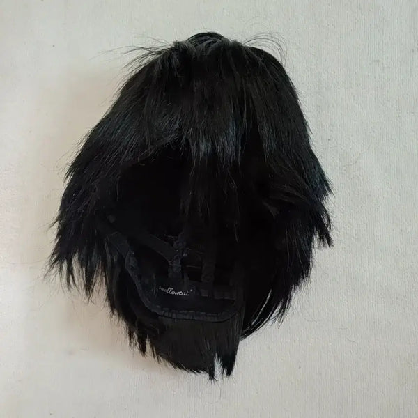 [BUNJANG] Black Short Cut Cosplay Wig for Men / 남캐용 흑발 컷가발 코스프레