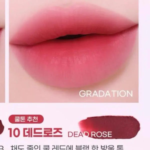 [BUNJANG] Colorgram Nudy Blur Tint No. 10 Dead Rose / 컬러그램 누디 블러 틴트 10호 데드로즈