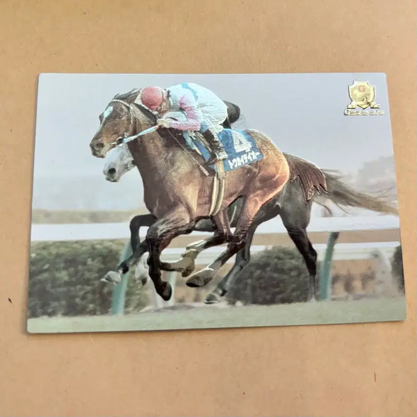 [BUNJANG] Tokai Teio Embossed Box Card / 토카이테이오 원본마 엠보스박 카드