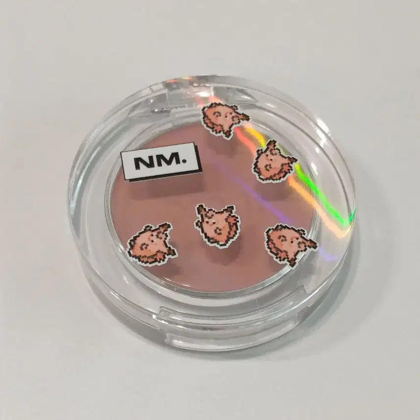 [BUNJANG] Naming Honeyed Blusher (Limited Edition) / 미사용) 네이밍 허니드 블러셔