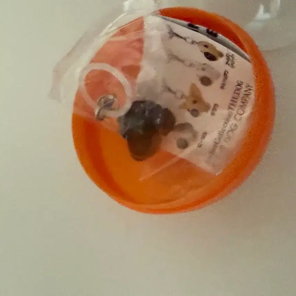[BUNJANG] The Dog Dachshund Sealed Merchandise / 더독 the dog 고전 메지루시 교환
