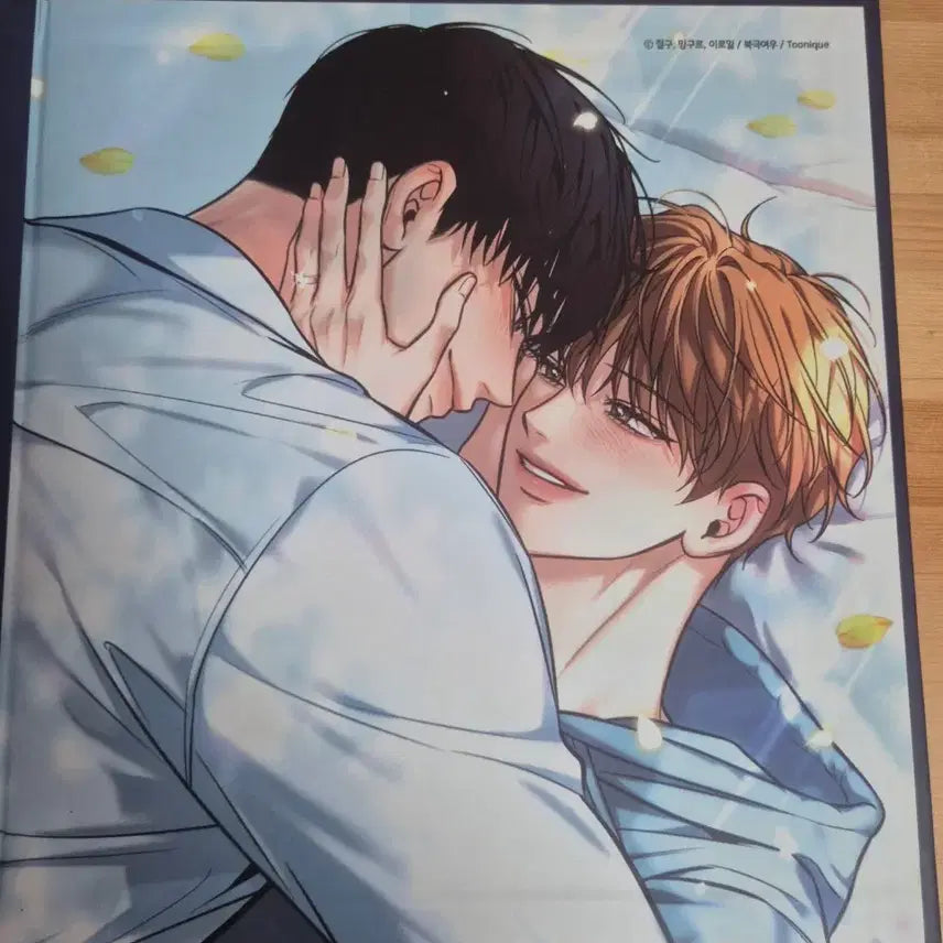 [BUNJANG] Mofun Summer Binder Postcard Bundle / 모펀 투니크 하절기 바인더 엽서 일괄 판매