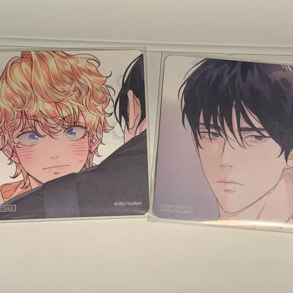 [BUNJANG] Toonique Illusion of Love Coaster Bundle Set / 투니크 사랑은환상 코스터 일괄 양도