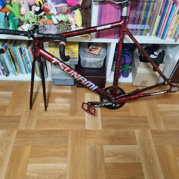 [BUNJANG] Tsunami SNM100 Bicycle Frame / 쓰나미 SNM100 반차