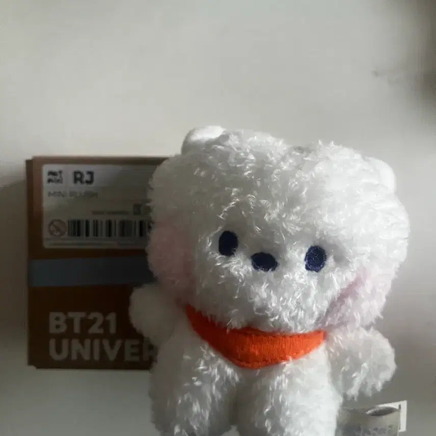 [BUNJANG] BTS Minini RJ Plush Doll / BTS minini RJ 방탄 알제이 미니니 인형