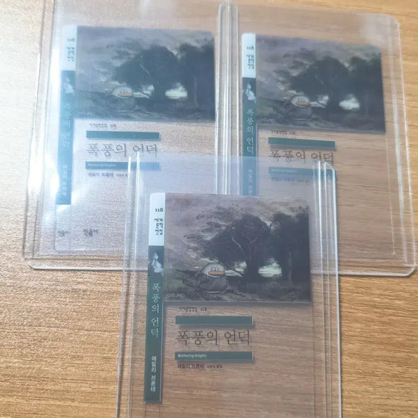 [BUNJANG] GS25 x Minumsa Collaboration Transparent Bookmark - Wuthering Heights / [GS25] 민음사 콜라보 투명 책갈피 <폭풍의 언덕>