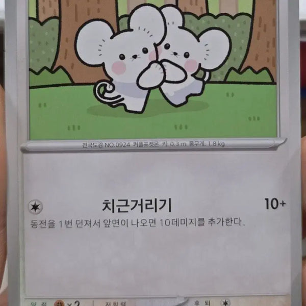 [BUNJANG] Mickey Mouse Inspired Mouse Character Card Set (3 Cards) / (포켓몬) 총3장 미키마우스 뺨칠정도로 귀여운 쥐가 총 10마리카드ㄷㄷ;;;