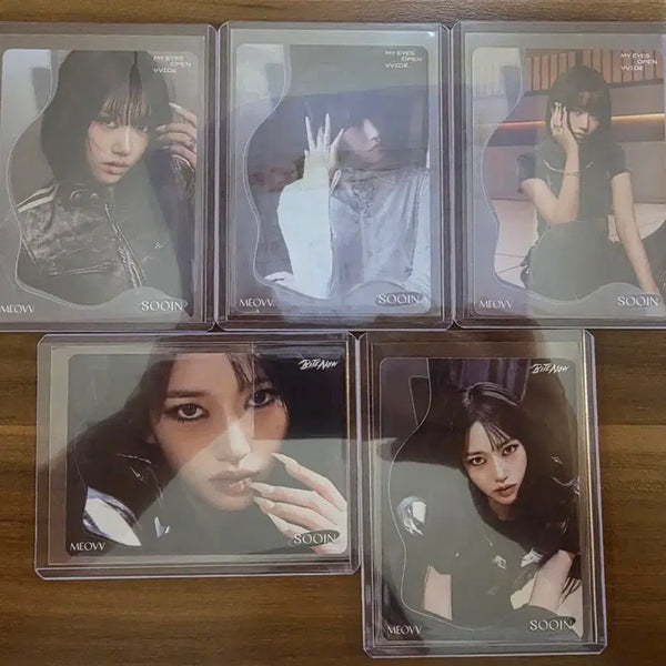 [BUNJANG] 2026 Tereka Miyayo Collection - Beast-type Card Set / 2026 테레카 미야오 컬렉션 카드 수인 카드 일괄