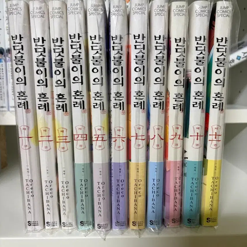 [BUNJANG] Firefly's Wedding (Vol. 1-11) Manga Set / 반딧불이의 혼례(1~11)권 팝니다