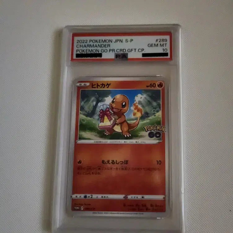 [BUNJANG] Pokemon Charmander Promo Card PSA 10 / 포켓몬카드 파이리 프로모카드 PSA10등급