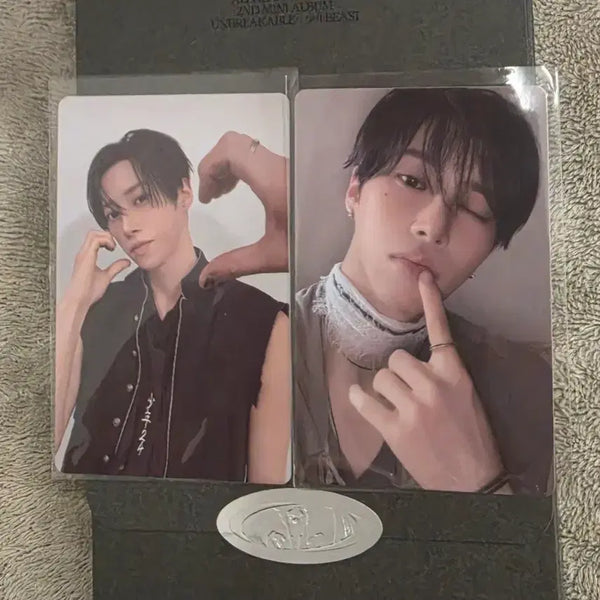 [BUNJANG] Alpaca Drive One Postcard Arno / 알파드라이브원 포스트카드 아르노