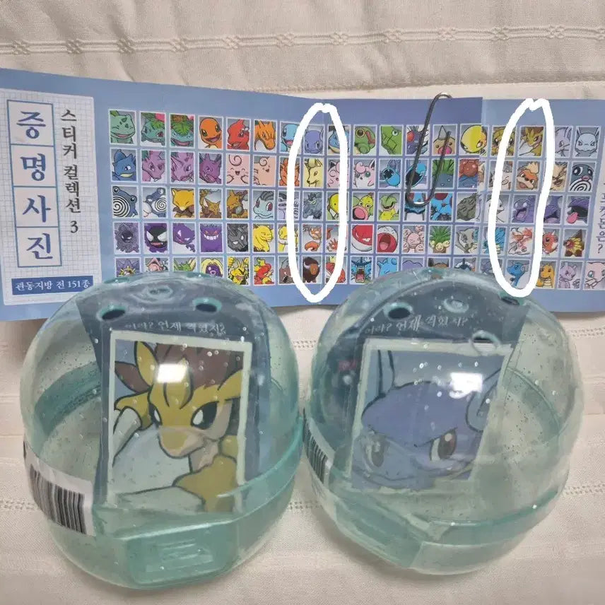 [BUNJANG] Pokemon ID Photo / 포켓몬 증명사진