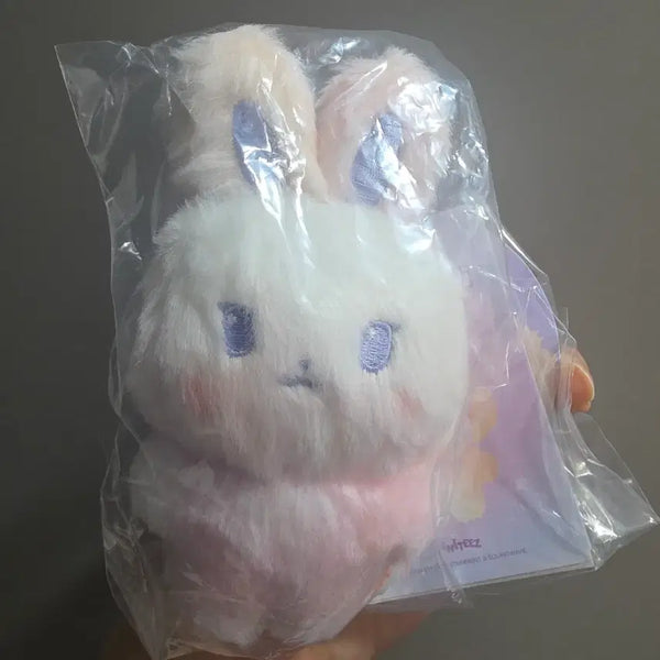 [BUNJANG] Ateez Color Mix Tiny Ddeongbyeoli Doll Photocard / Color mix tiny aniteez doll DDEONGbyeli(+pc)