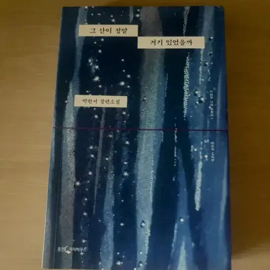 [BUNJANG] Park Wan-suh Novel 'Did That Mountain Really Exist There' / 그 산이 정말 거기 있었을까 박완서 장편소설