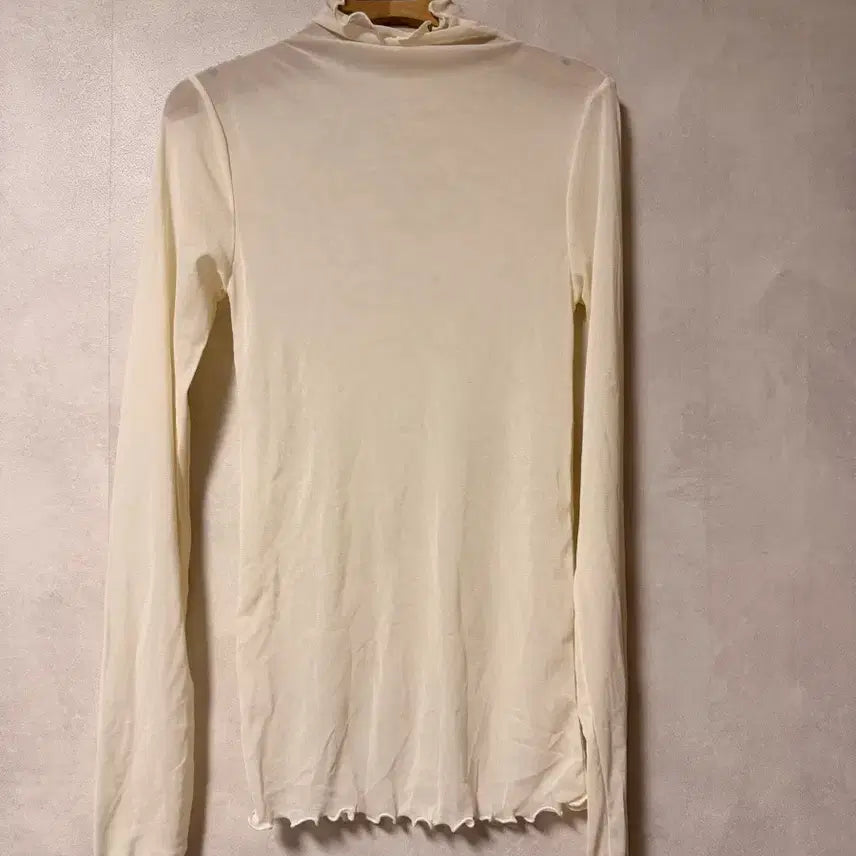 [BUNJANG] Sheer Spandex Turtleneck / 시스루 스판 목폴라