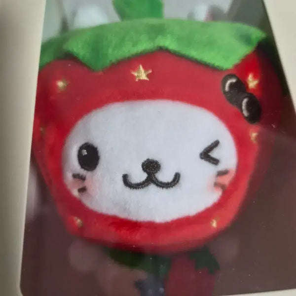 [BUNJANG] NCT WISH Strawberry Wish Doll Bubble Cat / 엔시티위시 딸기 위시돌 버블냥 양도 딸기 베이커리