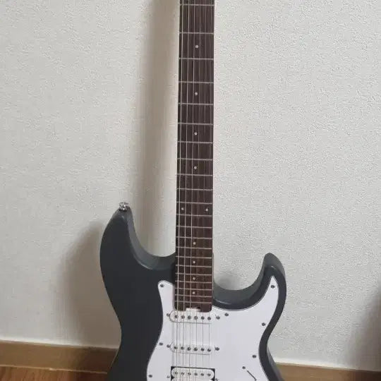 [BUNJANG] Hexe Electric Guitar Black / 헥스 일렉기타 블랙