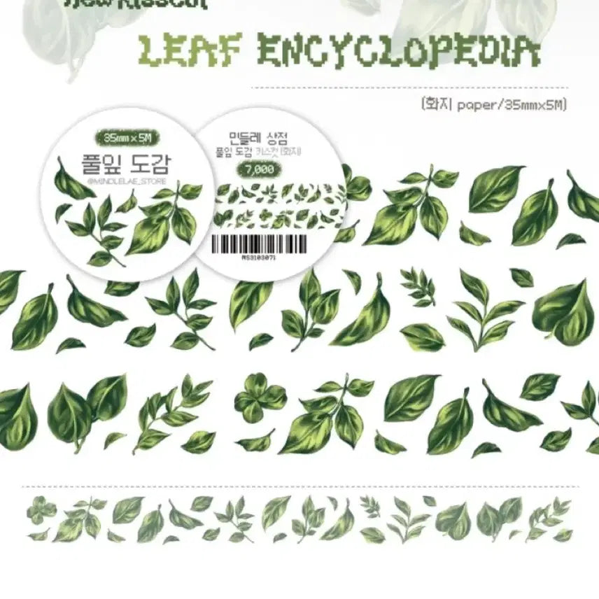 [BUNJANG] Mindlepot Leaf Guide Kiss-Cut Sticker / 민들레상점 풀잎도감 키스컷