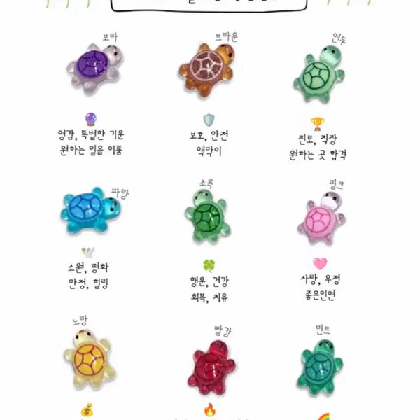 [BUNJANG] Lucky Mini Turtle Keychain / 행운 미니 거북이!