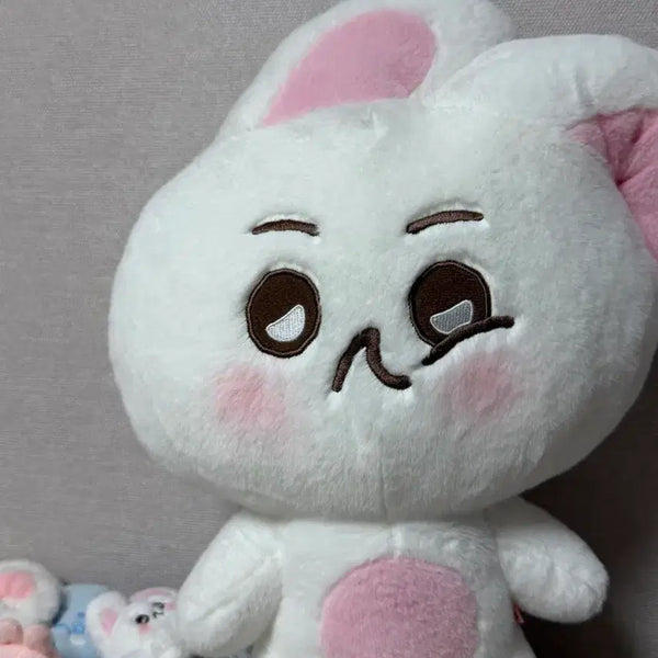 [BUNJANG] EXO SUHO Courtney Hug Doll / 엑소 수호 코트니 허그돌 인형 양도