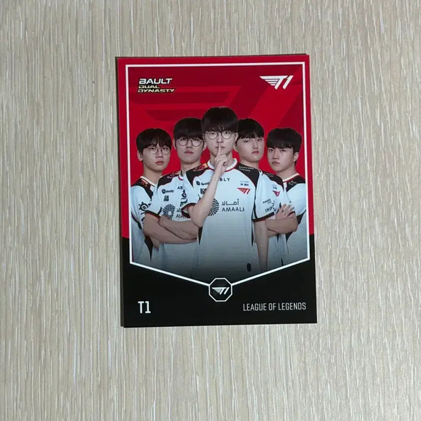 [BUNJANG] Bault T1 Team Card / Bault 티원 팀카드