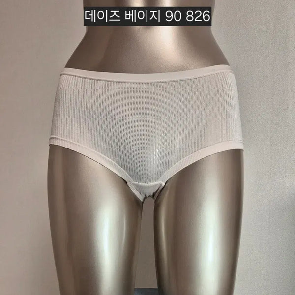 [BUNJANG] DAIZ Women's Underwear Briefs Beige Size 90 / 중고 여성 팬티 데이즈 여성 속옷 베이지 90 강추