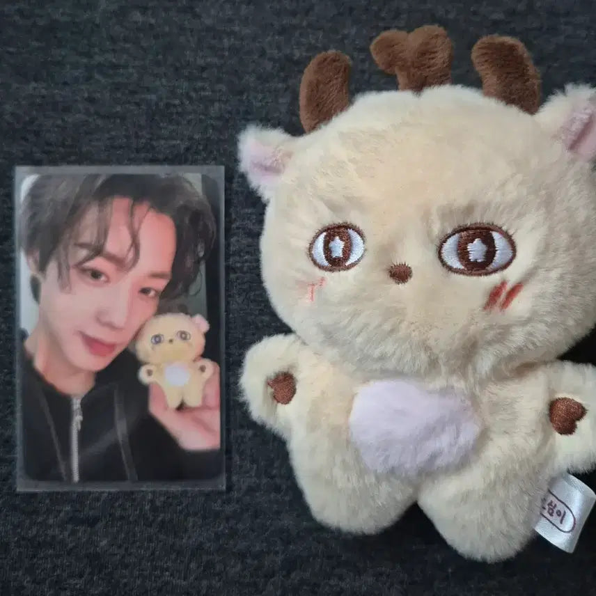 [BUNJANG] Park Ji Hoon 'Sosimi' Doll Photocard Set / 박지훈 소심이 인형 포카 포함
