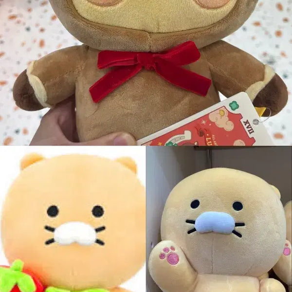 [BUNJANG] Kakao Friends Choonsik Doll Set (3 Types) / 카카오프렌즈 춘식이 인형 3종