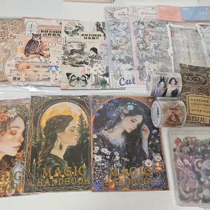 [BUNJANG] Vintage Aesthetic Sticker Book Bundle (8 Volumes) / 빈티지 감성 스티커북 8권, 다꾸템 일괄