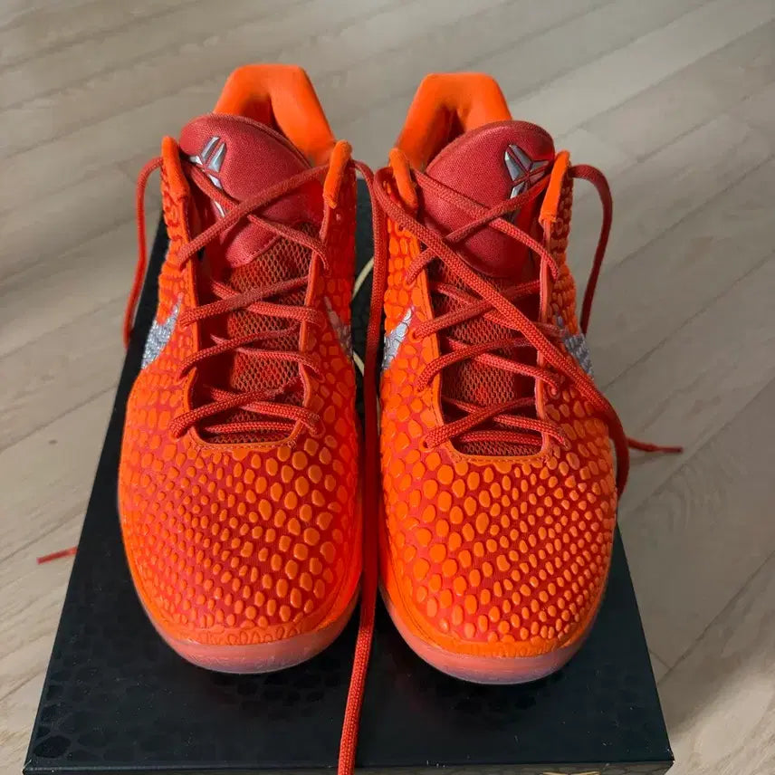 [BUNJANG] Nike Kobe 6 (265mm) / 코비6 265
