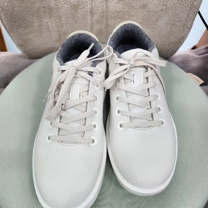 [BUNJANG] Allbirds Wool Shoes White M8 (260) / 올버즈 울 슈즈 화이트 M8( 260)