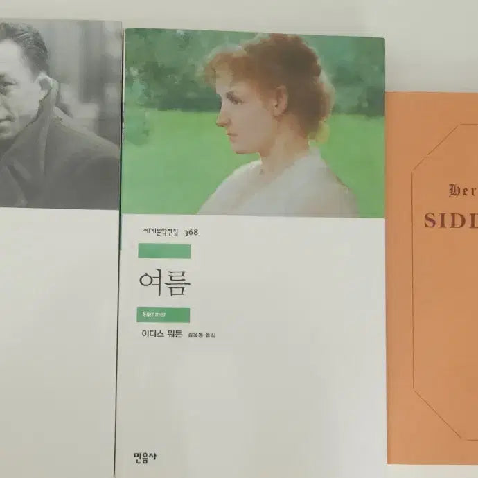 [BUNJANG] Bundle Set: Summer, The Stranger, Siddhartha (3 Books) / 3권일괄) 여름, 이방인, 싯다르타
