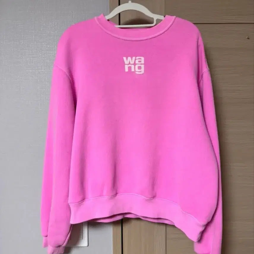 [BUNJANG] Alexander Wang Logo Sweatshirt / alexanderwang 알렉산더왕 로고 맨투맨
