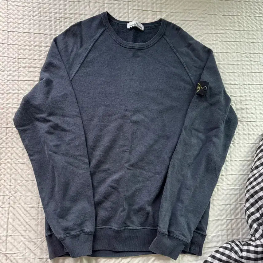 [BUNJANG] Stone Island 21ss Sweatshirt L / 21ss 스톤아일랜드 맨투맨 L