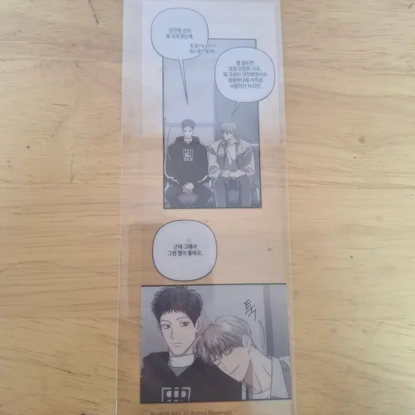 [BUNJANG] Fantasy Tree Beyond Transparent Bookmark / 공사구 공과 사는 구분해 판타지트 비욘드 특전 투명 책갈피