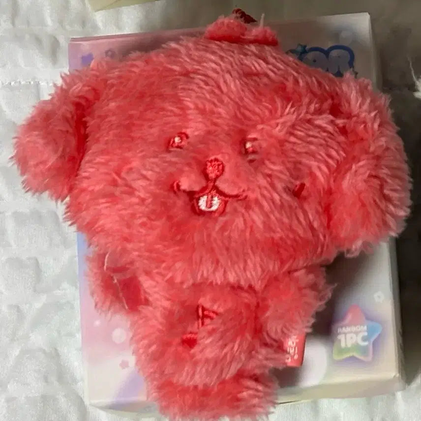 [BUNJANG] Color Wish Doll Red Dendriver / 컬러위시돌 빨강 댕트리버