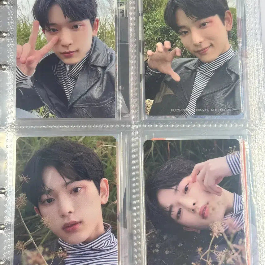 [BUNJANG] ENHYPEN Harua First Howling Photocard Bundle Set / 앤팀 하루아 데뷔초 퍼스트하울링 포카 일괄