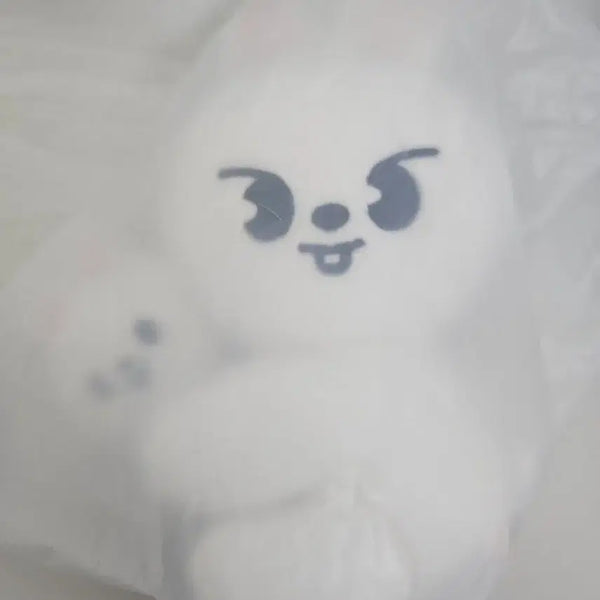 [BUNJANG] Stray Kids SKZOO Magnet Plush Set Lee Know Leebit / 스트레이키즈 스키즈 SKZOO MAGNET PLUSH 스키주 마그넷 플러시 세트 리노 리빗