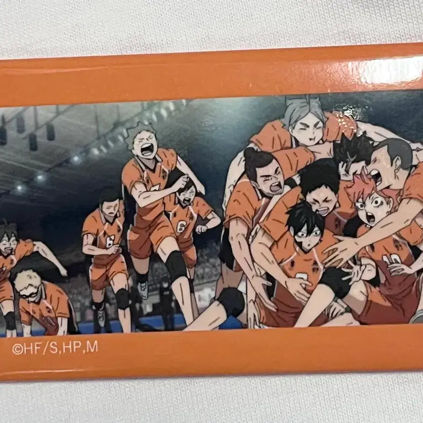 [BUNJANG] Haikyuu!! Badge & Paper Merch Bundle Set / [일괄 판매] 하이큐 뱃지, 지류