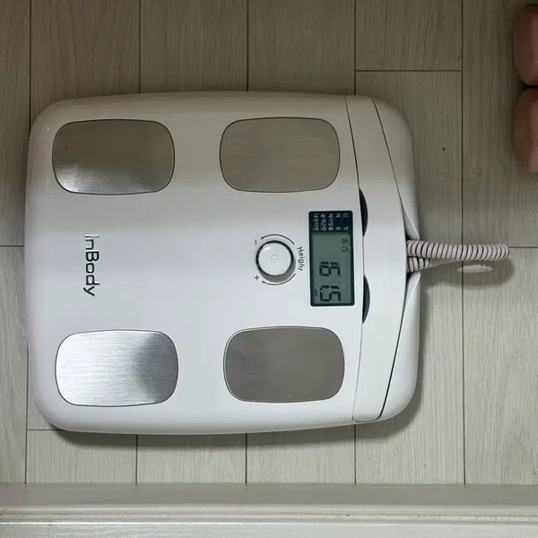 [BUNJANG] InBody H20N White Body Composition Analyzer / 인바디 h20n 화이트